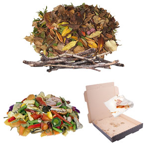 Image of compostable organic material accepted in MSS compost