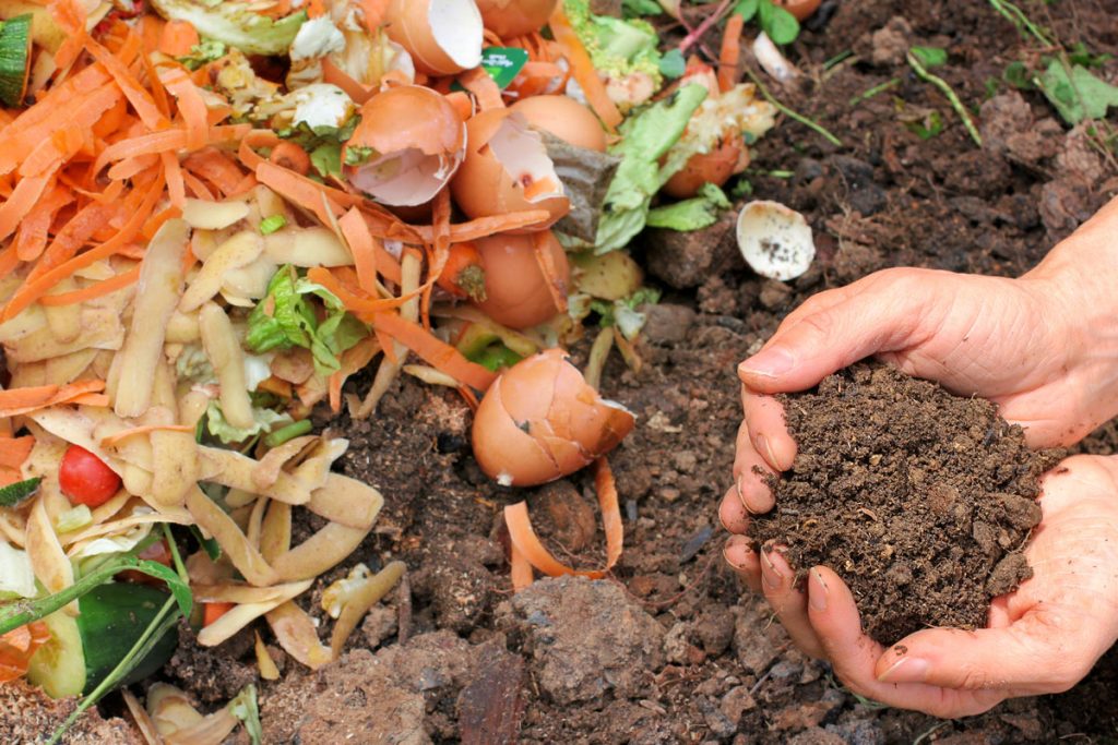 Composting in Marin