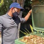MSS worker looks inside green compost container during an audit