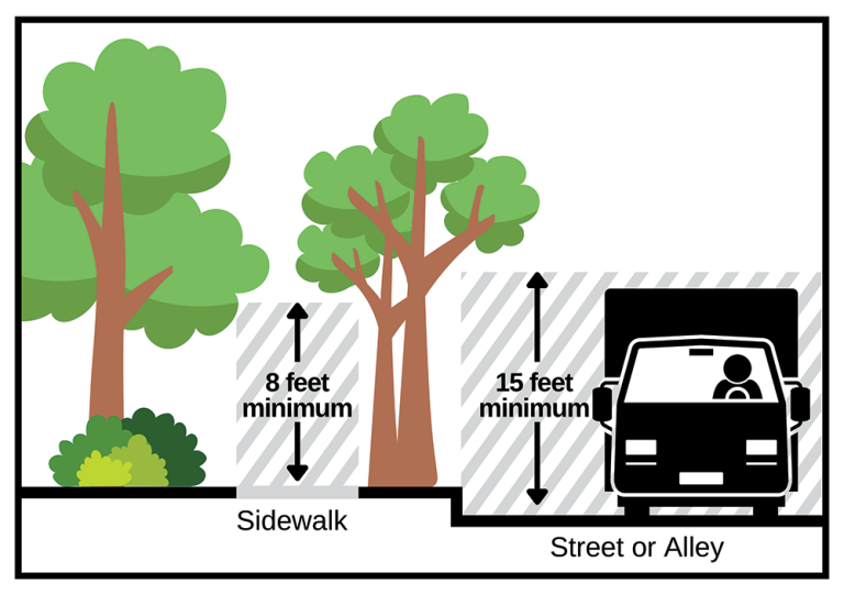 Illustration of truck clearance for trees and shrubs as described by the San Rafael Fire Department.