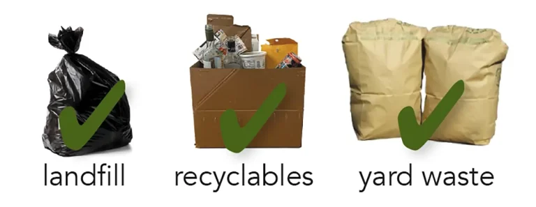 A garbage bag, a box with recyclables, and yard waste bags: examples of curbside clean-up accepted items