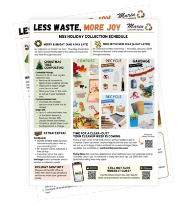 MSS Less Waste, More Joy Holiday 2025 Newsletter thumbnail