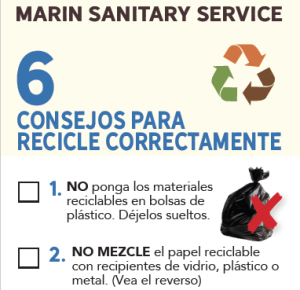Consejos Para Recicle Corretamente Flyer