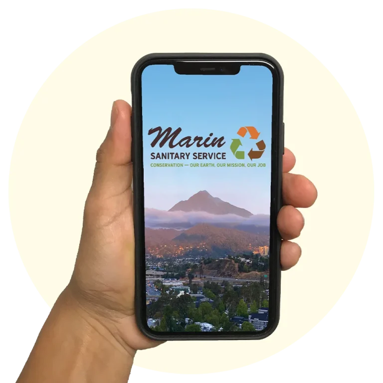 A hand holding a mobile phone with the MSS App on it