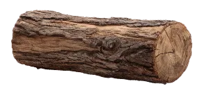 a large wood log