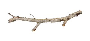 a small wood stick